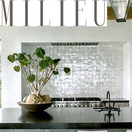 Viking Professional Range Featured in Milieu