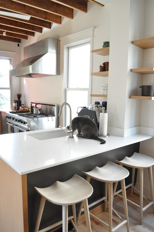 Pro Chefs Dish on Kitchens: Paul Kahan