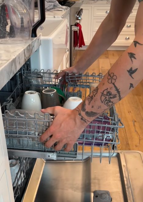 Viking Dishwasher Hack