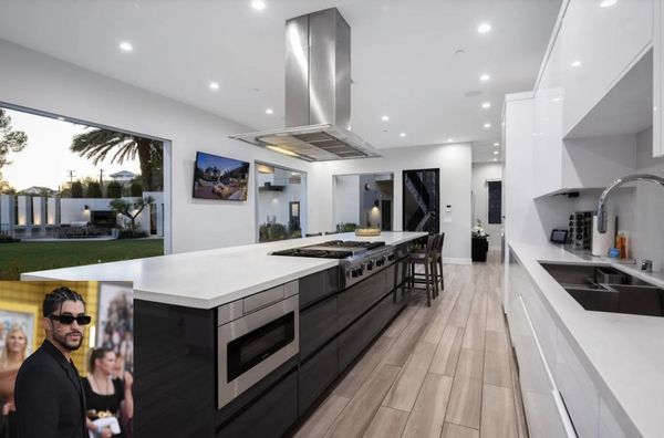 Viking Featured in Bad Bunny's New Hollywood Home