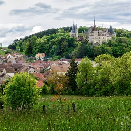 Burgundy Bargains: Village Vineyards