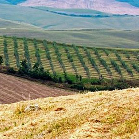 The Magical 2005 Burgundy Vintage