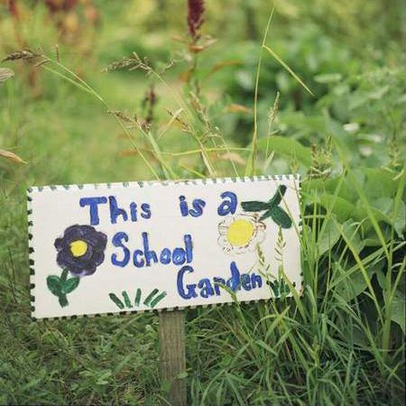 The Edible Schoolyard Project