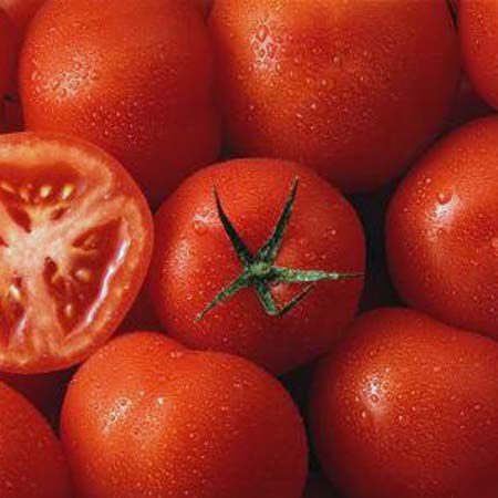 Growing Your Own Vegetables