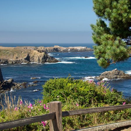 A View From the Coast