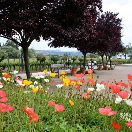 Napa Valley Dinner Party