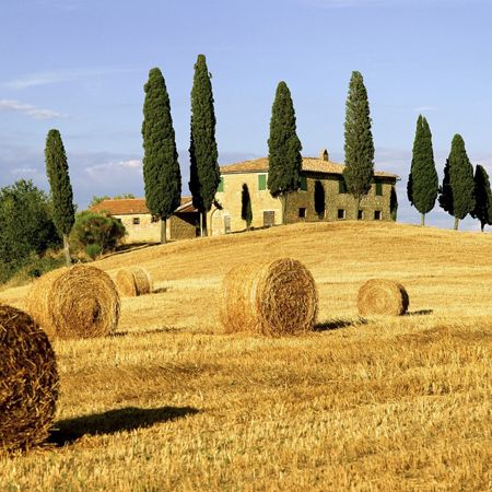 Summer Pleasures From a Tuscan Farmhouse