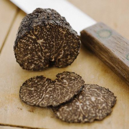 White Truffle Fever Makes the Season Glow